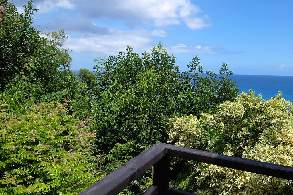 VI Miles Lodge Machabee Екстериор снимка
